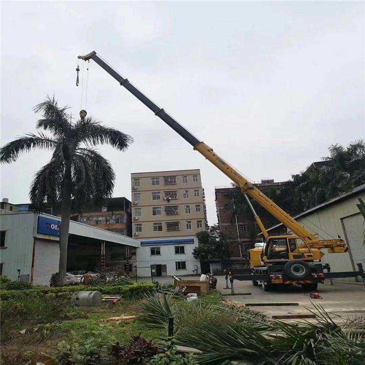 田林吊车吊大树几种方法